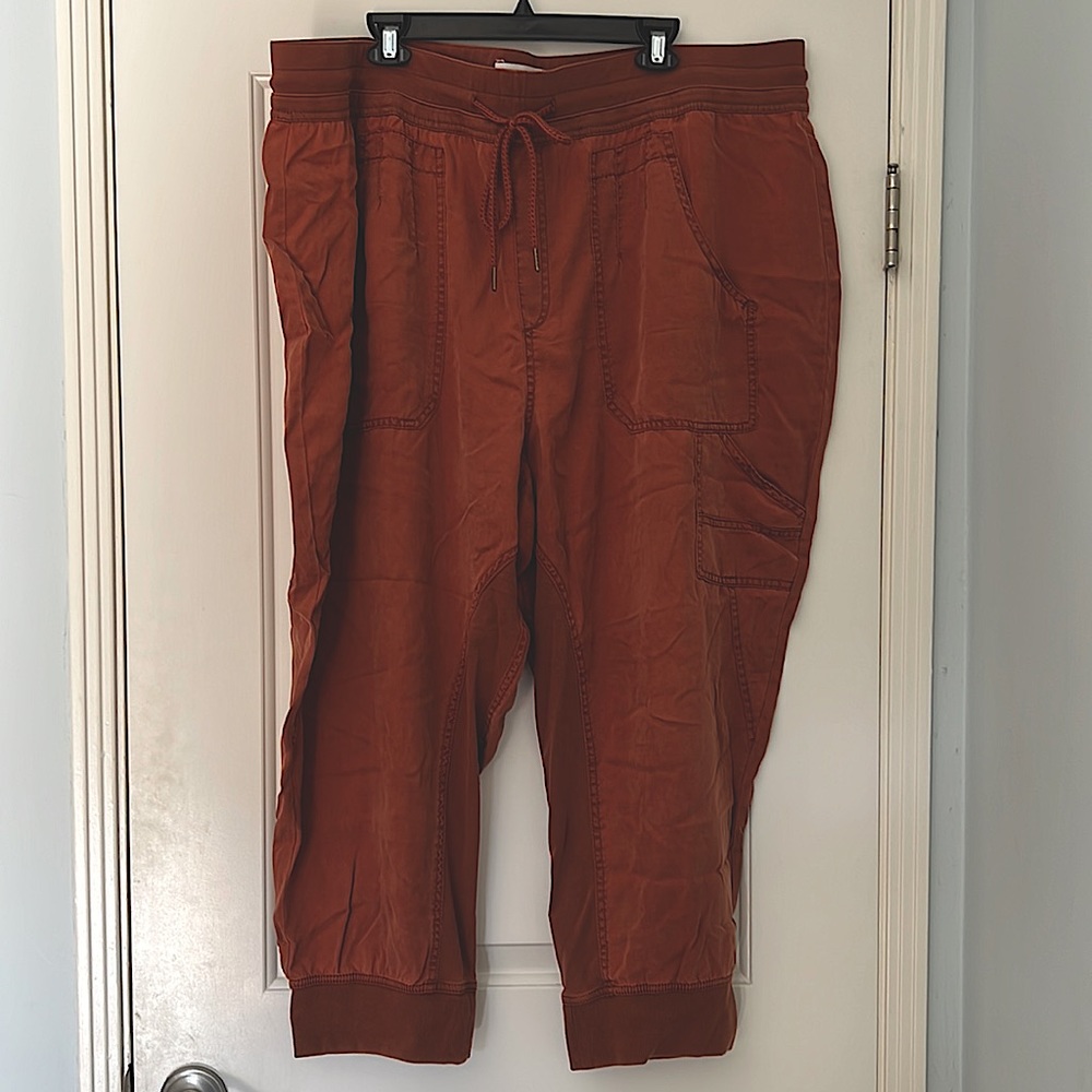 Anthropologie Plus Joggers - 3xl